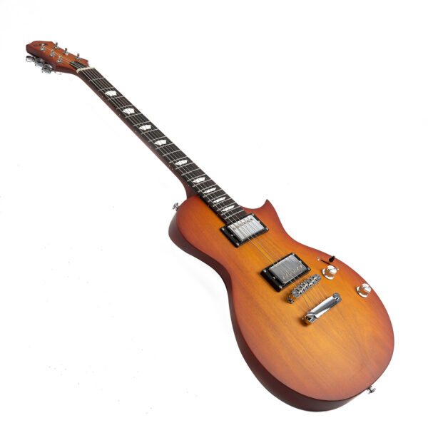 Eart Guitars EGLP-610