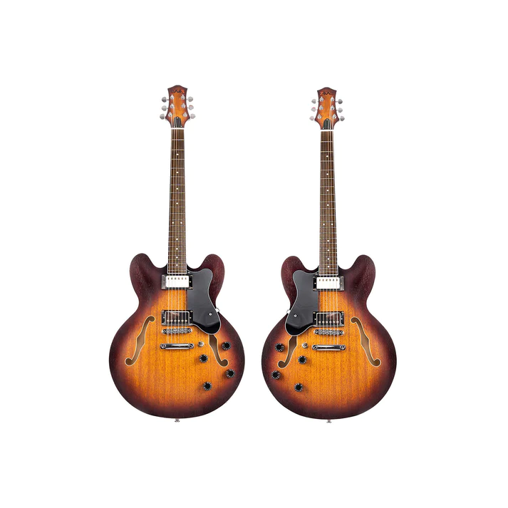 Eart Guitars E-335 Semi Hollow גיטרה רבע נפח ‎‎גיטרארט‎
