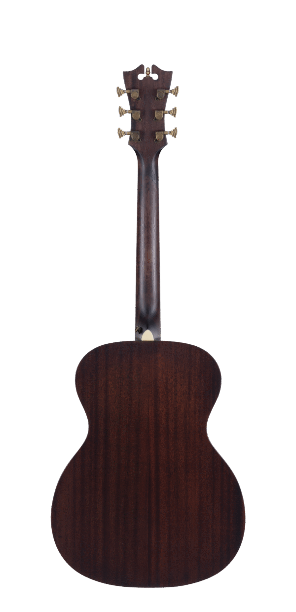גיטרה אקוסטית מוגברת D'Angelico PREMIER TAMMANY NATURAL CUTAWAY